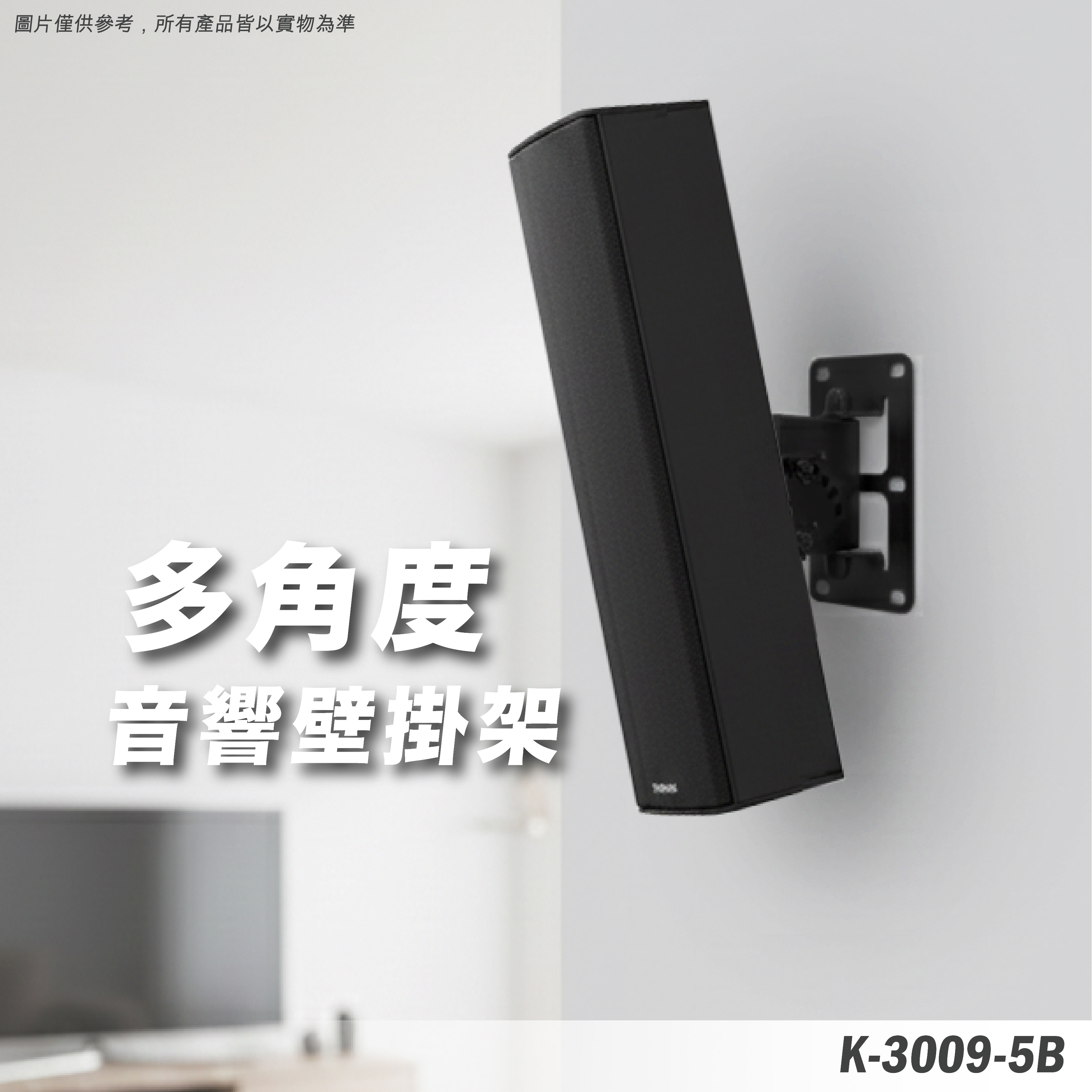 K-3009-5B 音響壁掛架
